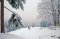 Waldstueble in Ernstthal - Bildergallerie Umgebung im Winter  